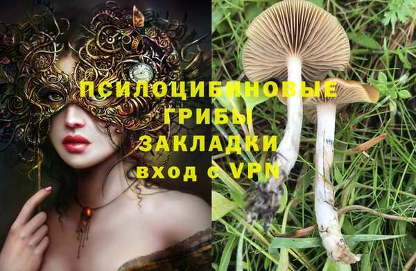 герыч Абаза
