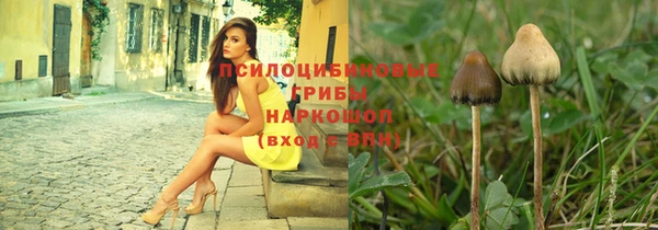 ПСИЛОЦИБИНОВЫЕ ГРИБЫ Абинск