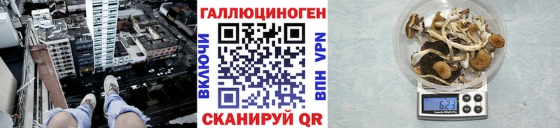 Галлюциногенные грибы Psilocybe  Кашира 