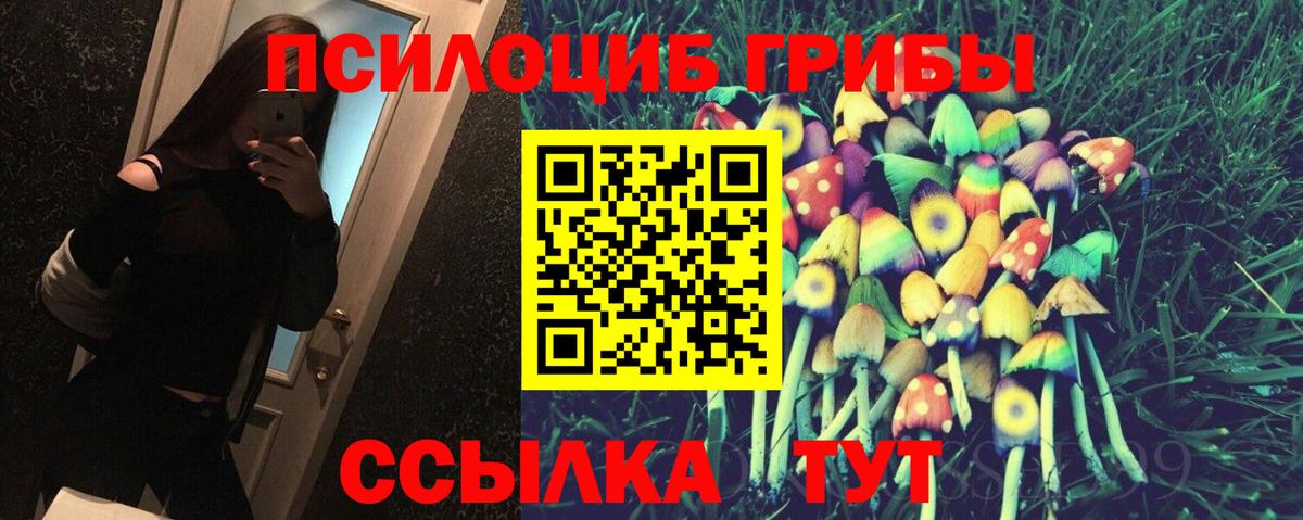 Галлюциногенные грибы GOLDEN TEACHER Кашира