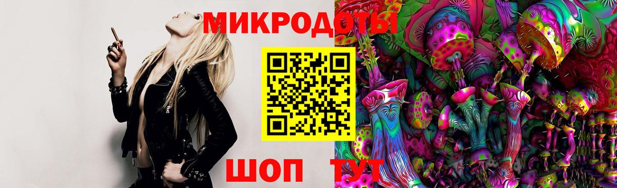 Псилоцибиновые грибы мухоморы  Вход с VPN  Кашира  Галлюциногенные грибы Psilocybe 