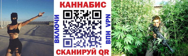 shop официальный сайт  Кашира  Бошки Шишки OG Kush  где найти наркотики 